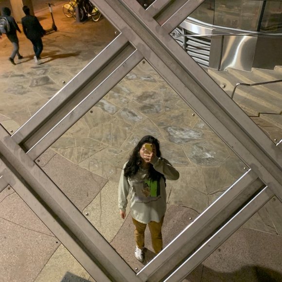 Meet your Posher, Oscar - Picture 4 of 5